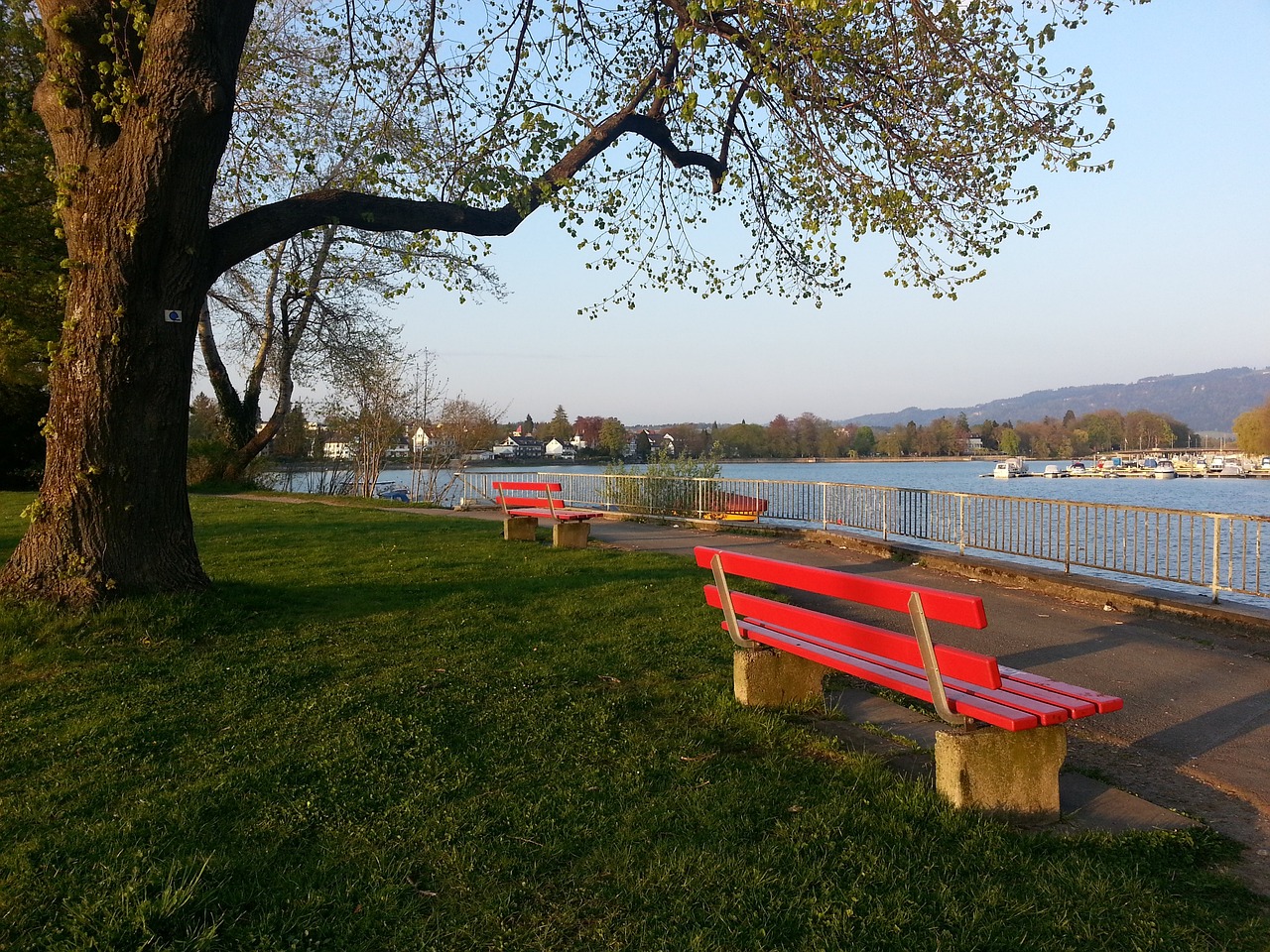 建立现代化 建立现代化