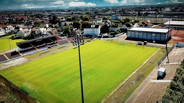 與全球化挑 與全球化挑