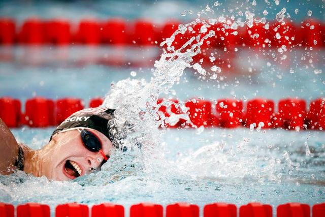 的重要支柱 的重要支柱